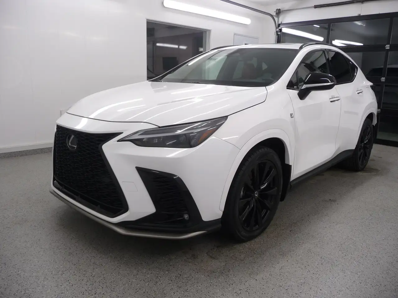 Lexus NX снимка Lexus NX