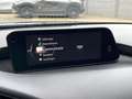 Mazda 3 3 2.0 SKY-X (186pk) / Automaat / Bose / Trekhaak Noir - thumbnail 15