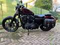 Harley-Davidson Sportster 1200 sporster iron 1200 - thumbnail 2