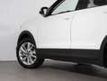 Volkswagen T-Cross Friends TSI DSG Weiß - thumbnail 5