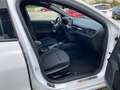 Ford Focus Lim.2.0  ST-Line NAVI/SH/LM17"/SPORT-SITZE Blanc - thumbnail 13