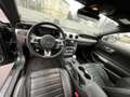 Ford Mustang Mustang 5,0 Ti-VCT V8 Bullitt Bullitt Grün - thumbnail 12