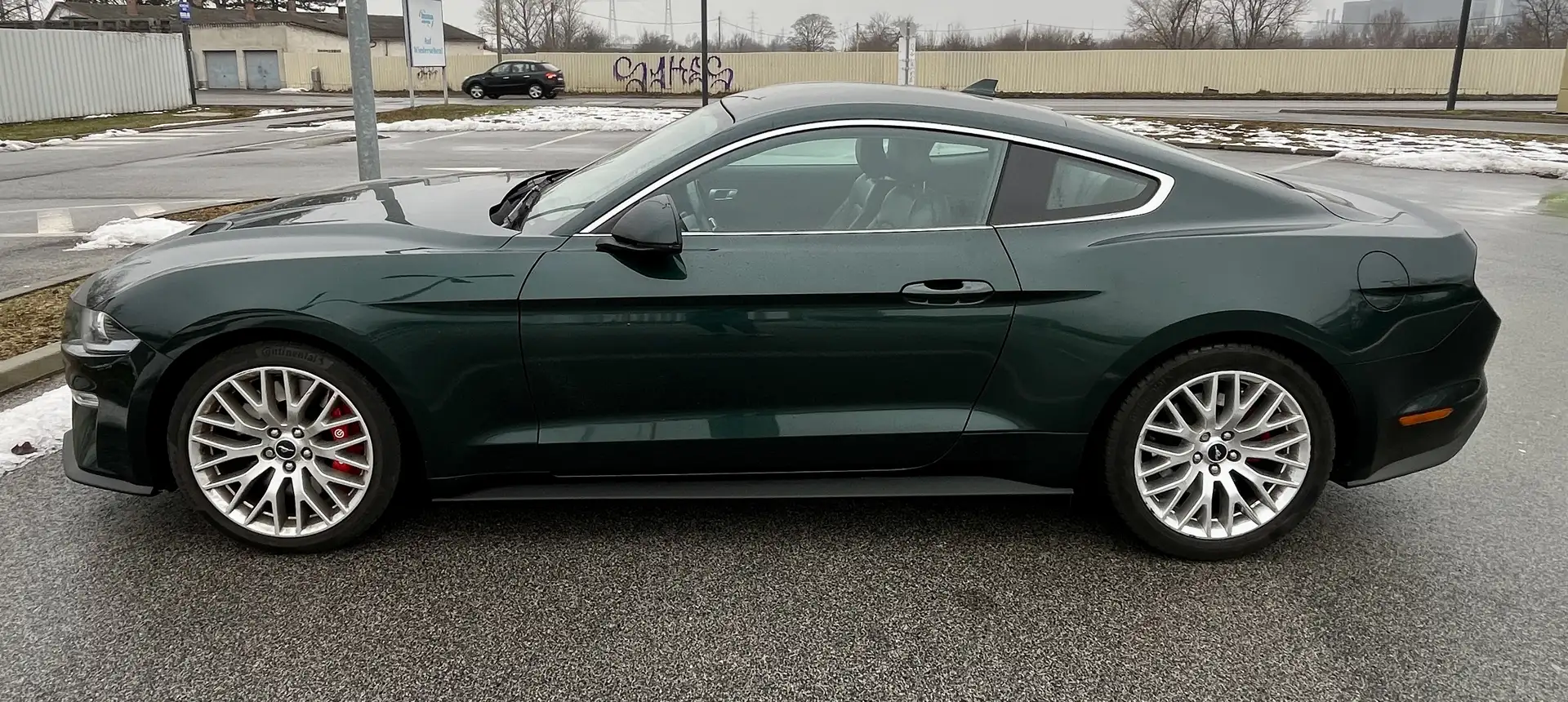 Ford Mustang Mustang 5,0 Ti-VCT V8 Bullitt Bullitt Grün - 2