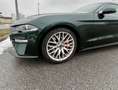 Ford Mustang Mustang 5,0 Ti-VCT V8 Bullitt Bullitt Grün - thumbnail 9