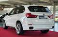 BMW X5 xDrive 40d M Sport HUD PANO  LED 360' Kam. Biały - thumbnail 7