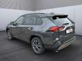 Toyota RAV 4 Hybrid 4x4 Team Deutschland Grau - thumbnail 4