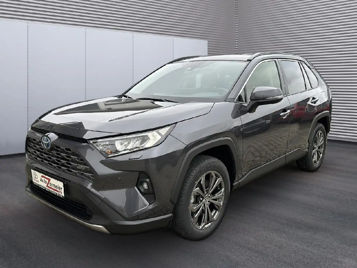 Toyota RAV 4 Hybrid 4x4 Team Deutschland Grau - 2