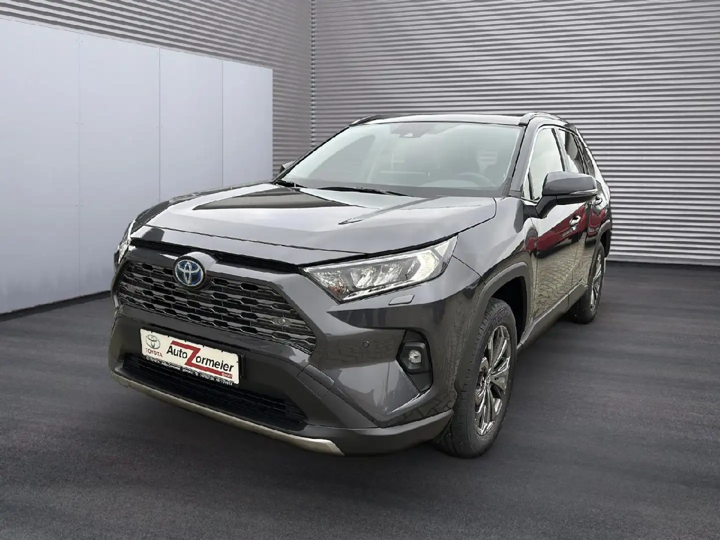 Toyota RAV 4 Hybrid 4x4 Team Deutschland Grau - 1