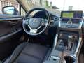 Lexus NX 300 Hybrid Business Unico Proprietario Cronologia Tagl Grigio - thumbnail 14