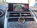 Lexus NX 300 Hybrid Business Unico Proprietario Cronologia Tagl Grigio - thumbnail 9