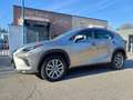 Lexus NX 300 Hybrid Business Unico Proprietario Cronologia Tagl Grigio - thumbnail 5