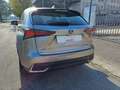 Lexus NX 300 Hybrid Business Unico Proprietario Cronologia Tagl Grigio - thumbnail 8