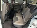 Ford Tourneo Courier 1,0 EcoBoost Trend Start/Stop Weiß - thumbnail 32