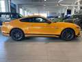 Ford Mustang Mach 1 V8 Pomarańczowy - thumbnail 3