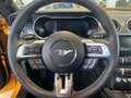 Ford Mustang Mach 1 V8 Pomarańczowy - thumbnail 11