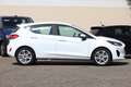 Ford Fiesta 1.0 Titanium LED*SHZ*Lenkr.Hz*GRA*NAVI Weiß - thumbnail 5