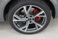 Volkswagen T6.1 Multivan VW T6.1 Multivan Edition TDI 4MOTION Grau - thumbnail 4