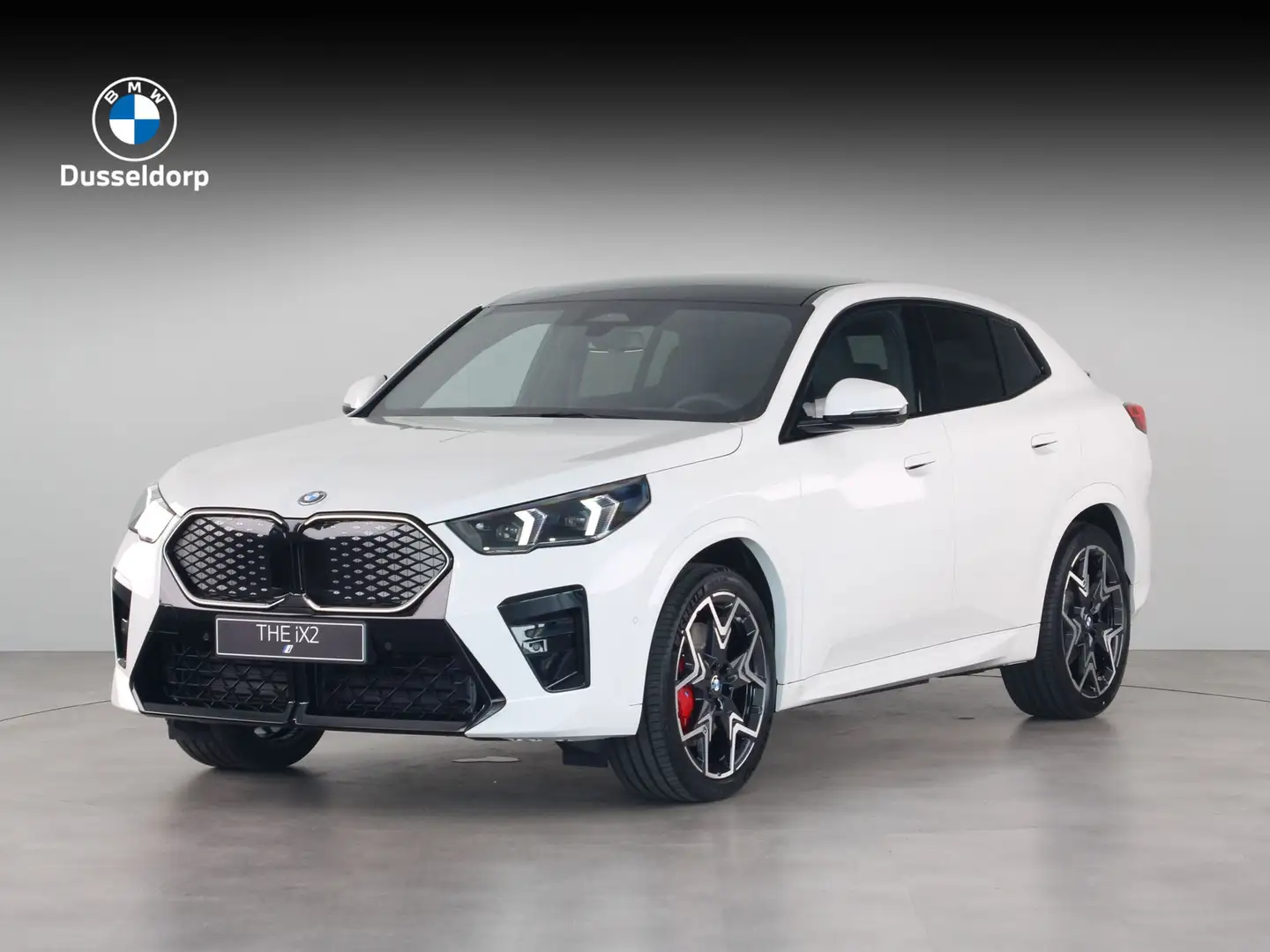 BMW iX2 eDrive20 67 kWh M Sport Edition Wit - 1