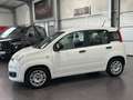 Fiat Panda 1.0 Urban **5-Türig*Klima*PDC** Weiß - thumbnail 2