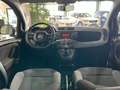 Fiat Panda 1.0 Urban **5-Türig*Klima*PDC** Weiß - thumbnail 10