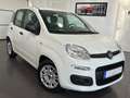 Fiat Panda 1.0 Urban **5-Türig*Klima*PDC** Weiß - thumbnail 8