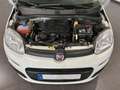 Fiat Panda 1.0 Urban **5-Türig*Klima*PDC** Weiß - thumbnail 17