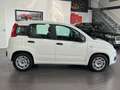Fiat Panda 1.0 Urban **5-Türig*Klima*PDC** Weiß - thumbnail 7
