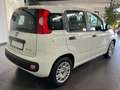 Fiat Panda 1.0 Urban **5-Türig*Klima*PDC** Weiß - thumbnail 6