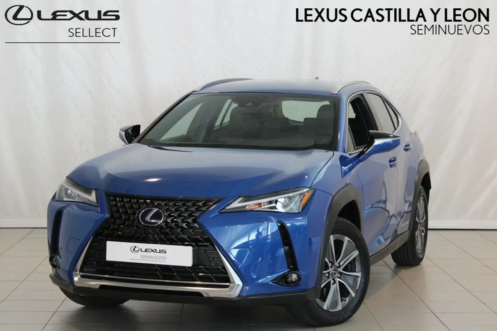 Lexus UX 300e Business Bleu - 1
