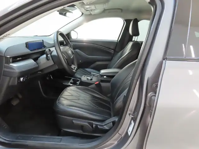 Ford Mustang Mach-E view 8