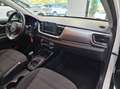 Kia Stonic Stonic 1.6 CRDi 110 CV Energy EURO 6B Weiß - thumbnail 42