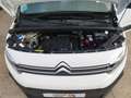 Citroen Berlingo Combi BlueHDi S&S Talla M Live Pack Busin Blanco - thumbnail 19