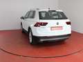 Volkswagen Tiguan Highline 2.0TDI DSG 296,-ohne Anzahlung Navi AHK Weiß - thumbnail 24