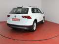 Volkswagen Tiguan Highline 2.0TDI DSG 296,-ohne Anzahlung Navi AHK Weiß - thumbnail 27