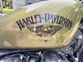 Harley-Davidson Iron 883 Zelená - thumbnail 5