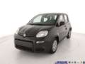 Fiat Panda 1.0 HYBRID Nero - thumbnail 1