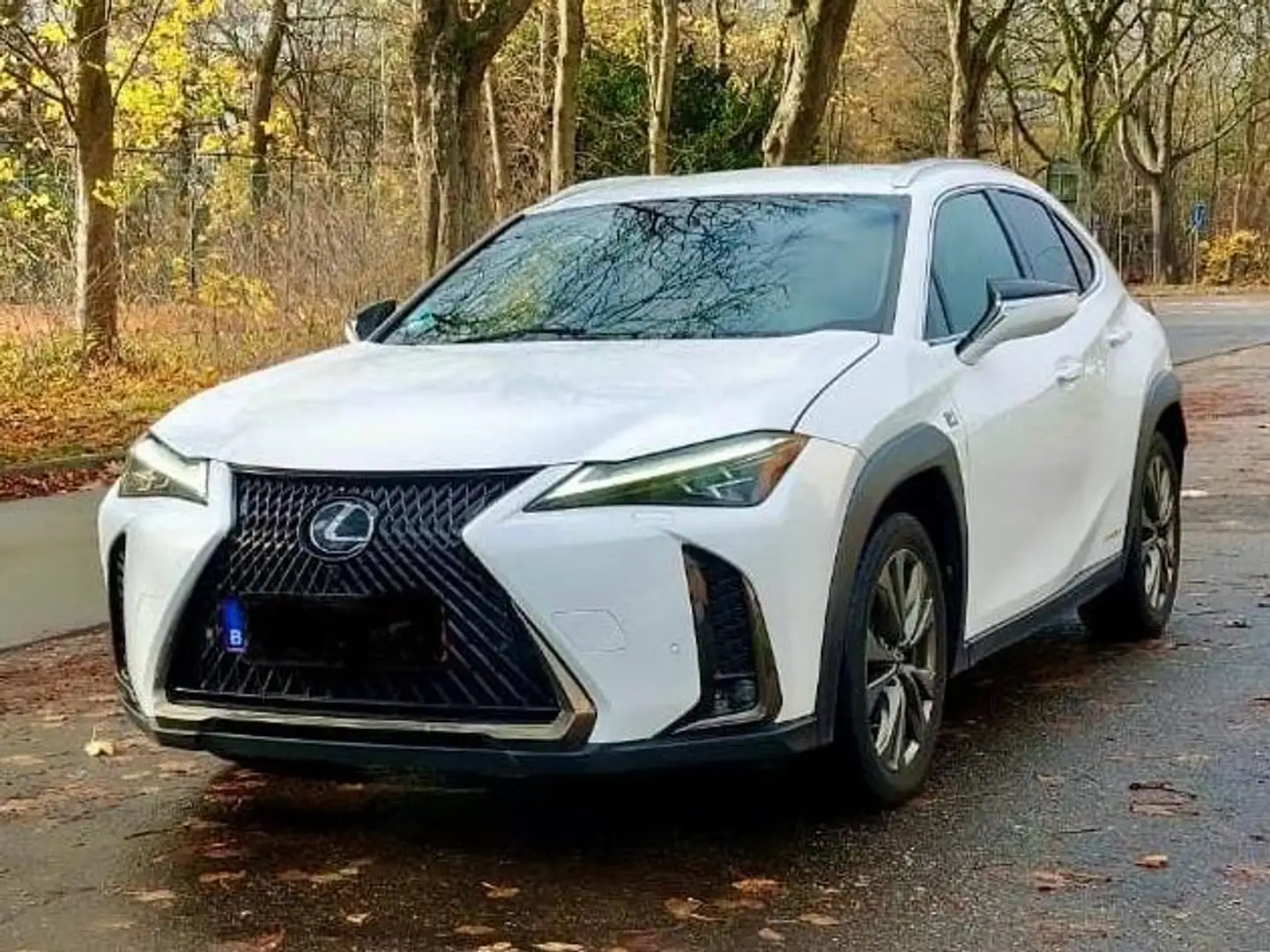 Lexus UX 250h F SPORT  LPi Gasinstallatie Fehér - 2