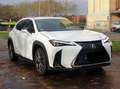 Lexus UX 250h F SPORT  LPi Gasinstallatie Fehér - thumbnail 1