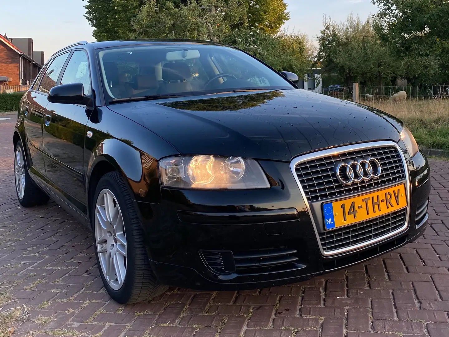 Audi A3 A3 1.9 TDI Attraction Zwart - 1
