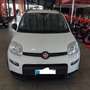 Fiat Panda Panda III 2021 1.0 firefly hybrid City Life s Bianco - thumbnail 1