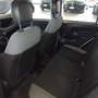 Fiat Panda Panda III 2021 1.0 firefly hybrid City Life s Bianco - thumbnail 5