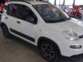 Fiat Panda Panda III 2021 1.0 firefly hybrid City Life s Bianco - thumbnail 2