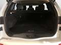 Renault Koleos 2.0 dCi Energy Intens Bianco - thumbnail 14