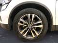 Renault Koleos 2.0 dCi Energy Intens Bianco - thumbnail 15