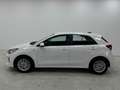 Kia Rio 1.2 MPi Evolution Bianco - thumbnail 8