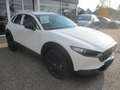Mazda CX-30 /G140/AT/Nagisa Modell 2025 Weiß - thumbnail 4