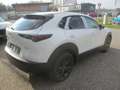 Mazda CX-30 /G140/AT/Nagisa Modell 2025 Weiß - thumbnail 6