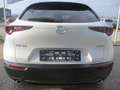 Mazda CX-30 /G140/AT/Nagisa Modell 2025 Blanc - thumbnail 7