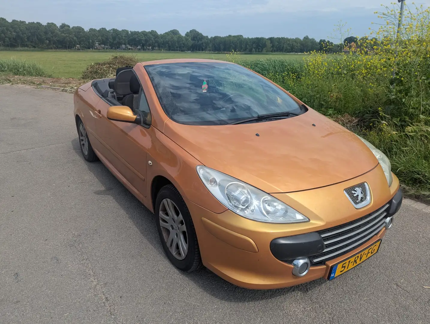 Peugeot 307 307 2.0-16V Brons - 1