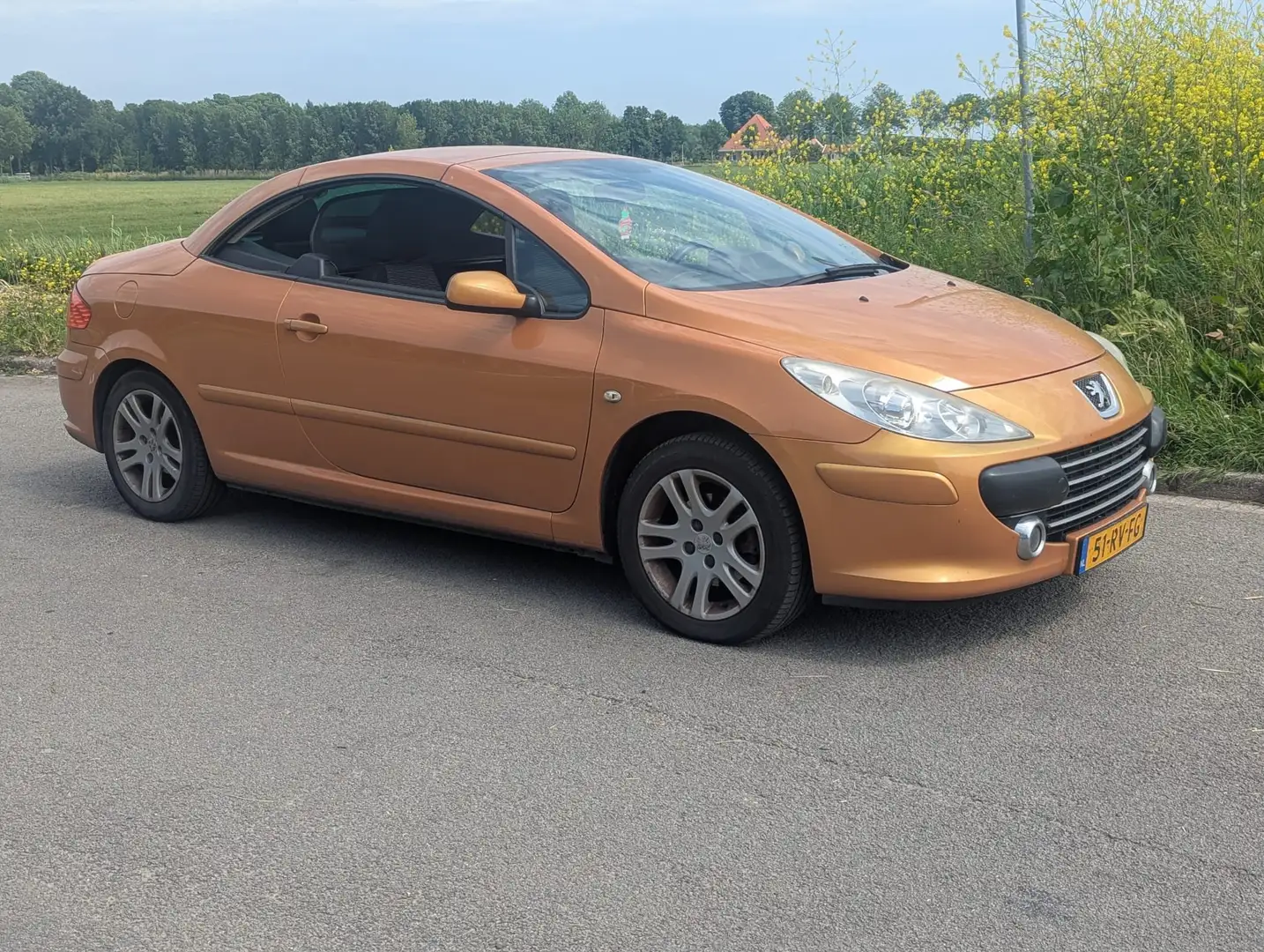 Peugeot 307 307 2.0-16V Brons - 2